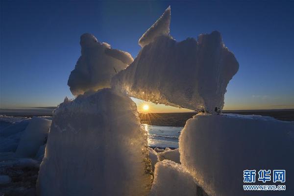 A tech company announced it would release a new smartphone with a foldable screen next year