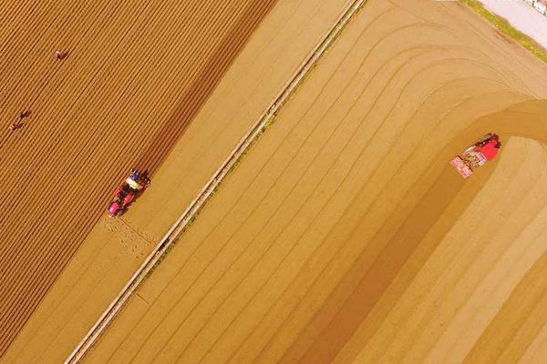 A popular streaming service announced plans to produce more original content