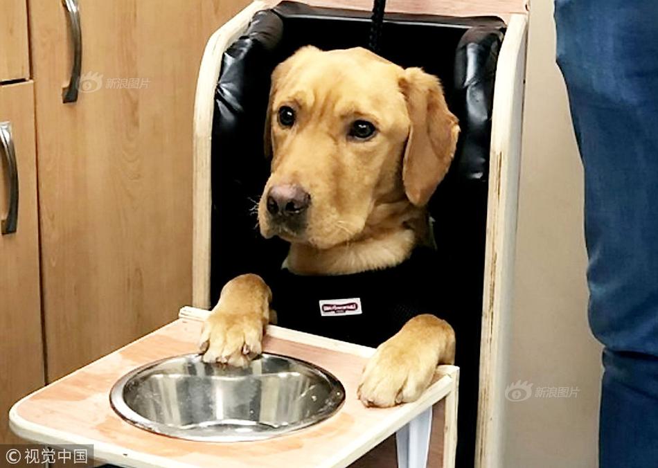 Motorcycle show features custom bikes from local builders and national brands