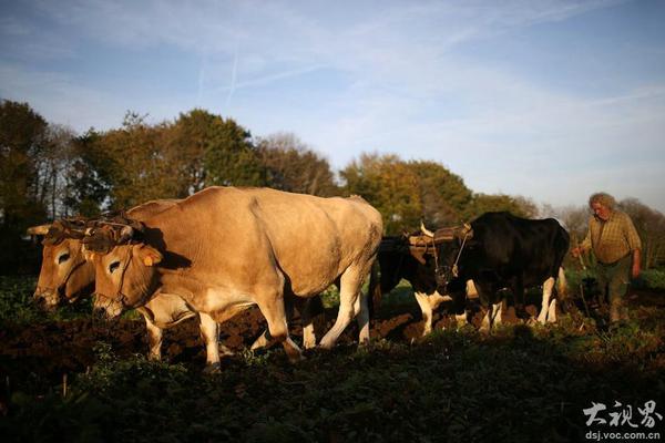 A coffee chain announced it will offer free refills for customers with reusable cups