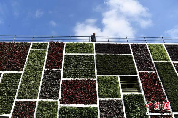 Local police seized over $1.4 million worth of illegal drugs during a raid on a suspected trafficking ring