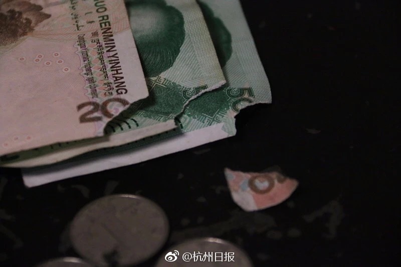 A scientist discovered a new species of insect in a rainforest that has unique camouflage abilities