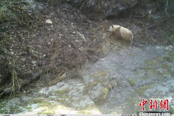 A restaurant was awarded a Michelin star for its exceptional cuisine and service