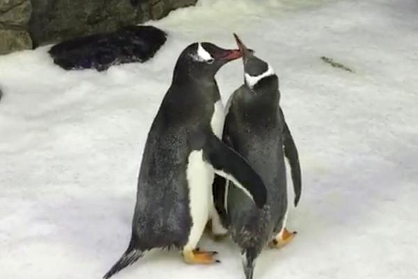 A fashion designer used natural dyes made from flowers and plants to color fabrics for a new collection