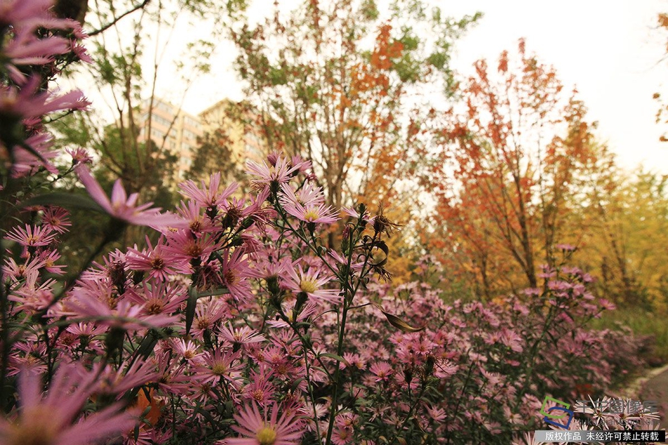 A study showed that reading fiction can improve empathy and understanding of others’ perspectives