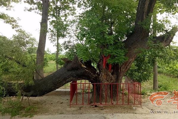 A local café introduced a new breakfast sandwich made with local ingredients