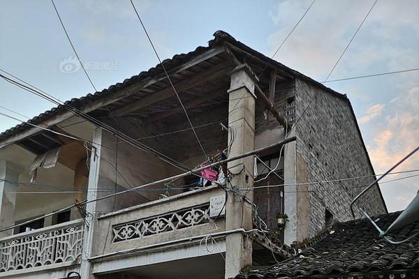 The city announced a plan to install more bike lanes to promote eco-friendly transport