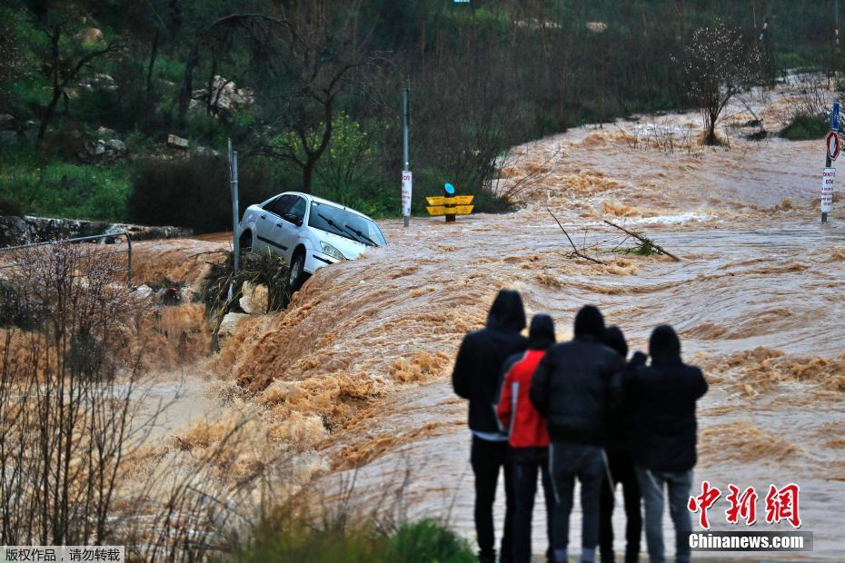 Researchers found that certain types of mushrooms can remove heavy metals from contaminated soil