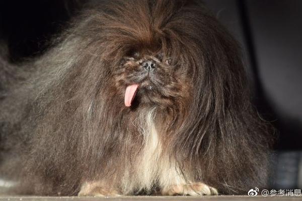 A fashion brand used natural dyes