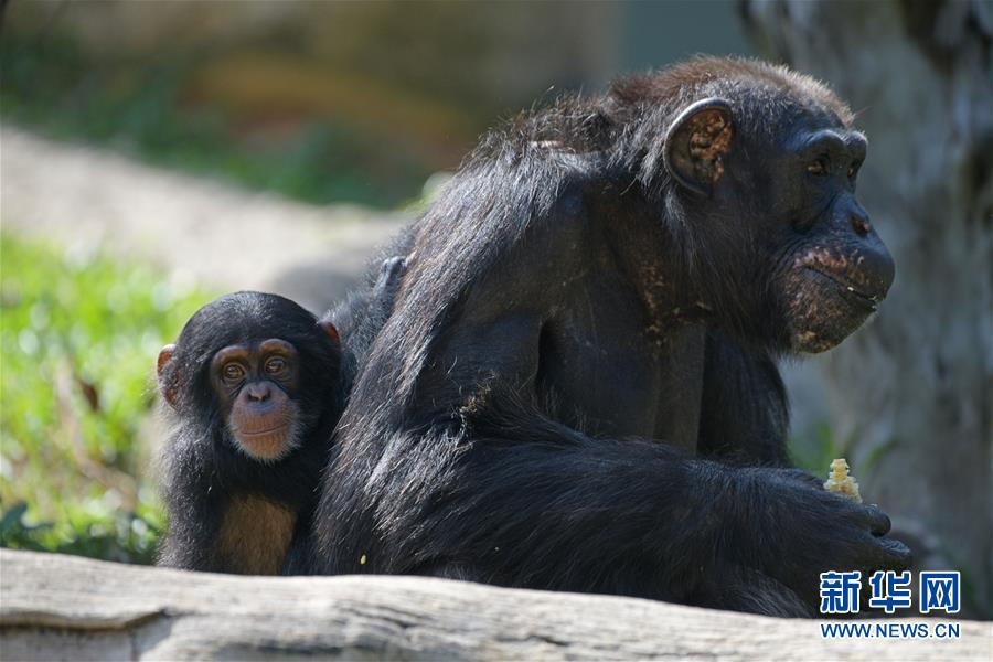 The World Health Organization updated its guidelines for preventing the spread of respiratory illnesses