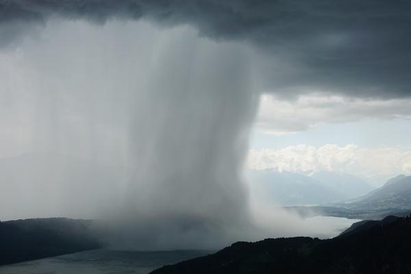 Researchers discovered a new species of fish in a deep-sea trench off the coast of Japan