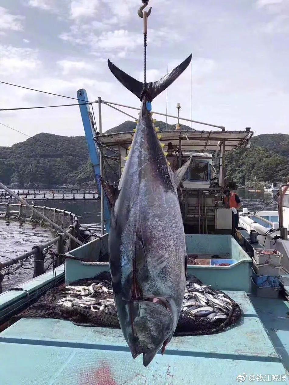 Researchers found that stress can weaken the immune system and increase susceptibility to illness