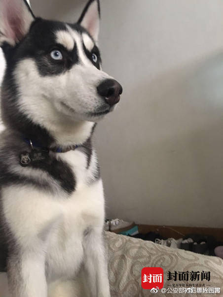 A team of doctors developed a new treatment for Alzheimer’s disease that slows the progression of the illness.