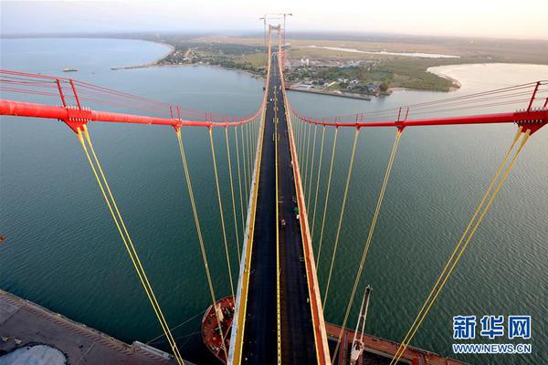 Study shows that pets reduce anxiety in college students