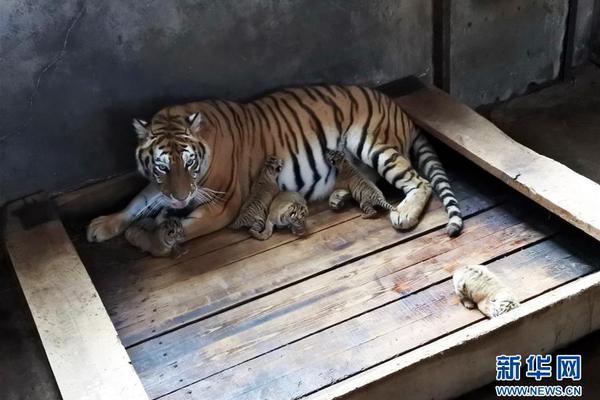 Fashion show raises money for charity with designs by local students