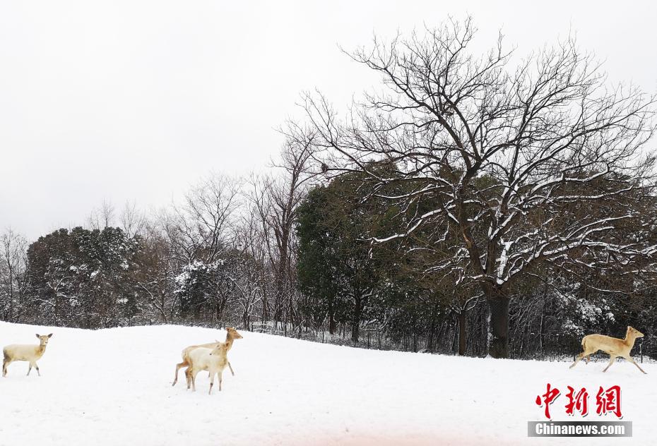 A photographer won a contest for their photo of a rare bird spotted in a local nature reserve