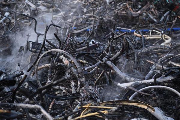 A new hotel chain focused on eco - tourism opened its first resort