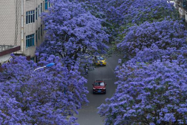 Researchers found that listening to audiobooks improves reading comprehension