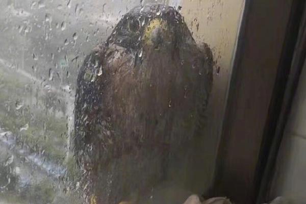 Book club selects award winning novel for next month’s discussion