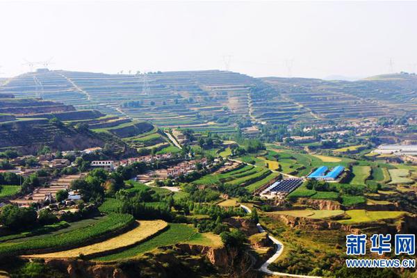 A local community organized a festival to celebrate its cultural heritage, featuring traditional music, dance, and food.