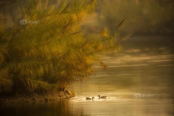 Doctors recommended more exercise to improve overall health