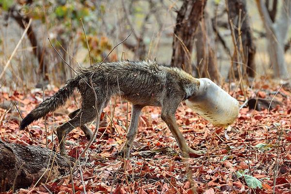 The national basketball league announced a new sponsorship deal