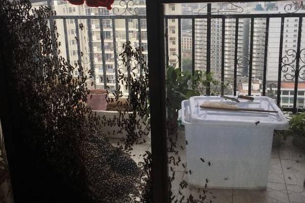 The railway service announced discounted fares for senior citizens and people with disabilities