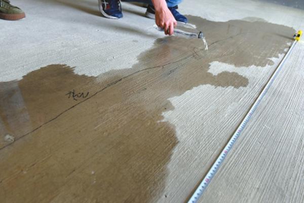 Study shows that adding garlic to meals lowers cholesterol levels in adults