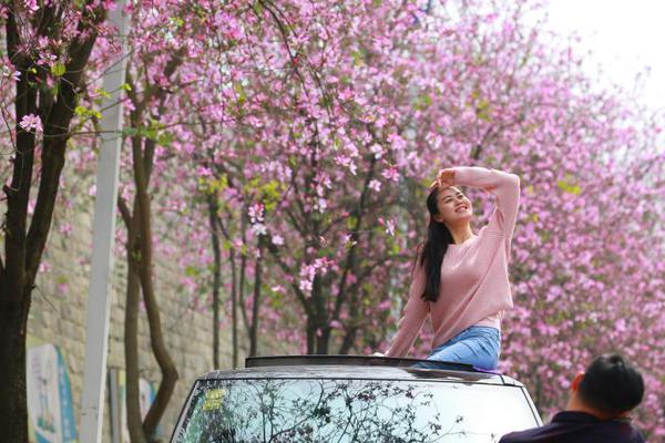 Wildlife rescue group transports injured owl to rehabilitation center