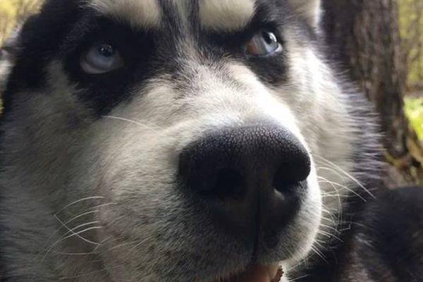 Farmers are switching to organic farming methods to meet consumer demand