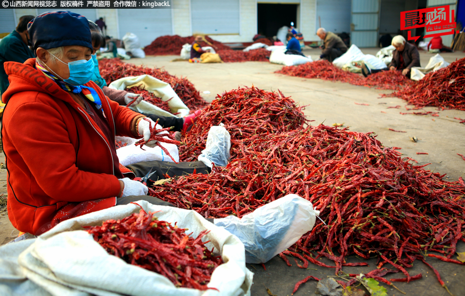Scientists successfully cloned an endangered animal to help preserve the species