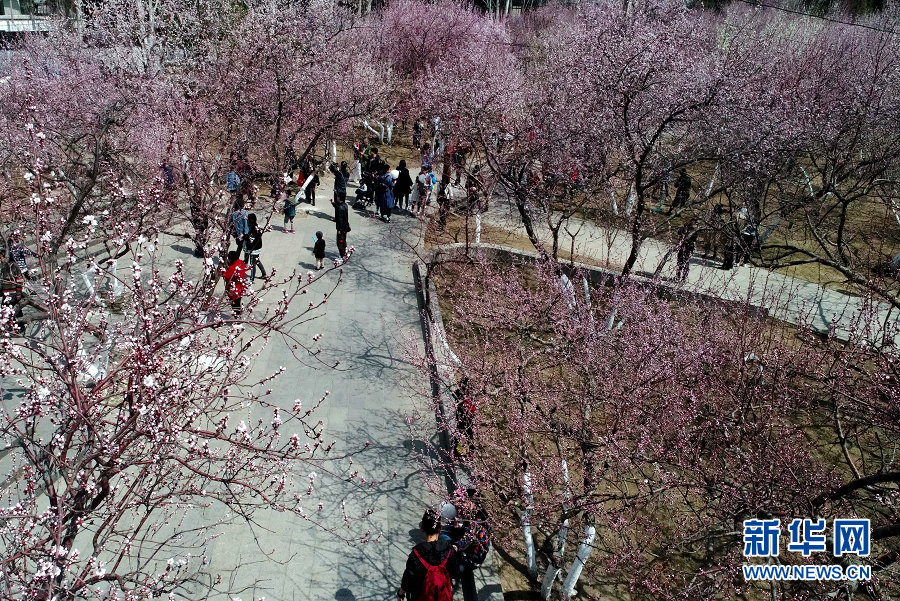 The government announced a tax cut for middle-income families to boost consumer spending