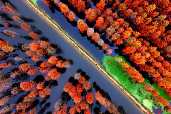 A university research team studied how rising sea levels will affect coastal communities