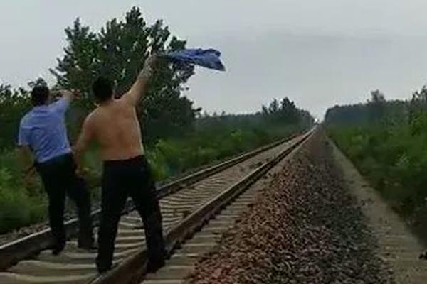 Scientists discovered a new type of bee that is essential for pollinating certain crops