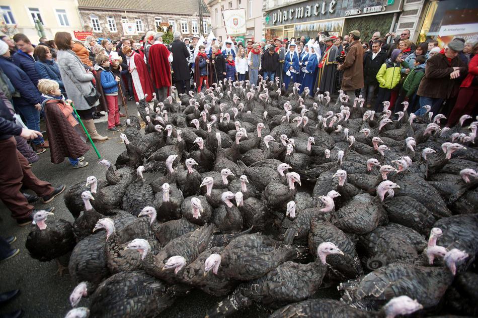 A major airline announced it will add 20 new international routes by the end of the year to meet growing travel demand.