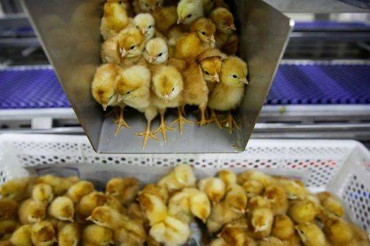 A famous author was awarded a prestigious literary prize for their contributions to contemporary literature.