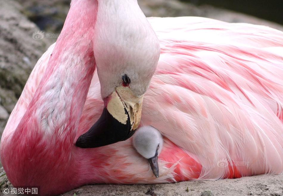 A new survey found that 70% of parents support extended school hours for after-school programs