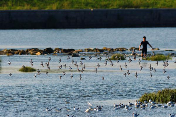 A museum hosted a lecture by a famous historian about the history of the civil rights movement