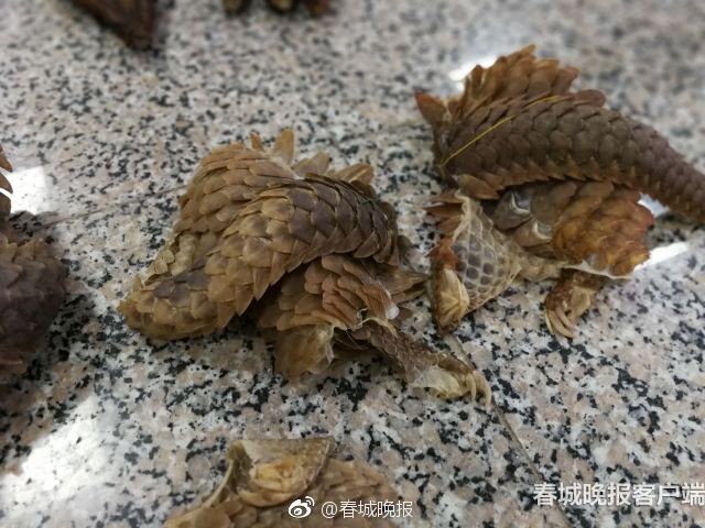 A city banned single-use plastic utensils in all restaurants and food trucks