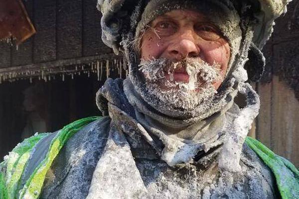 Scientists studied how noise pollution in cities affects the mating calls of birds