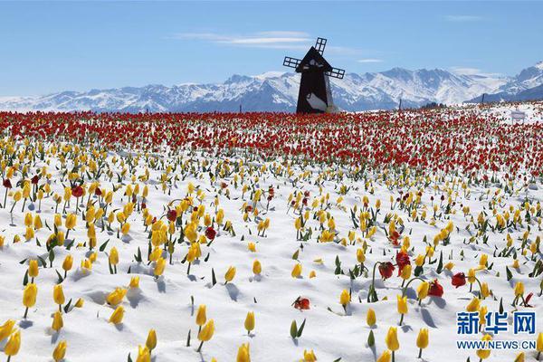 Hardware store offers DIY home repair workshops for beginners