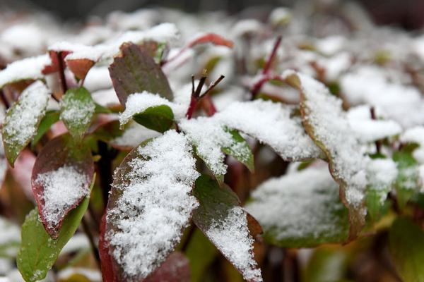 Local restaurants reported an increase in takeout orders due to changing consumer habits