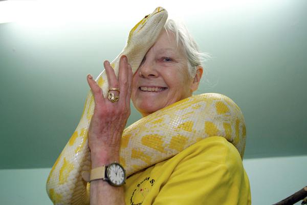 A fitness app that helps users find local volunteer opportunities reached 2 million downloads