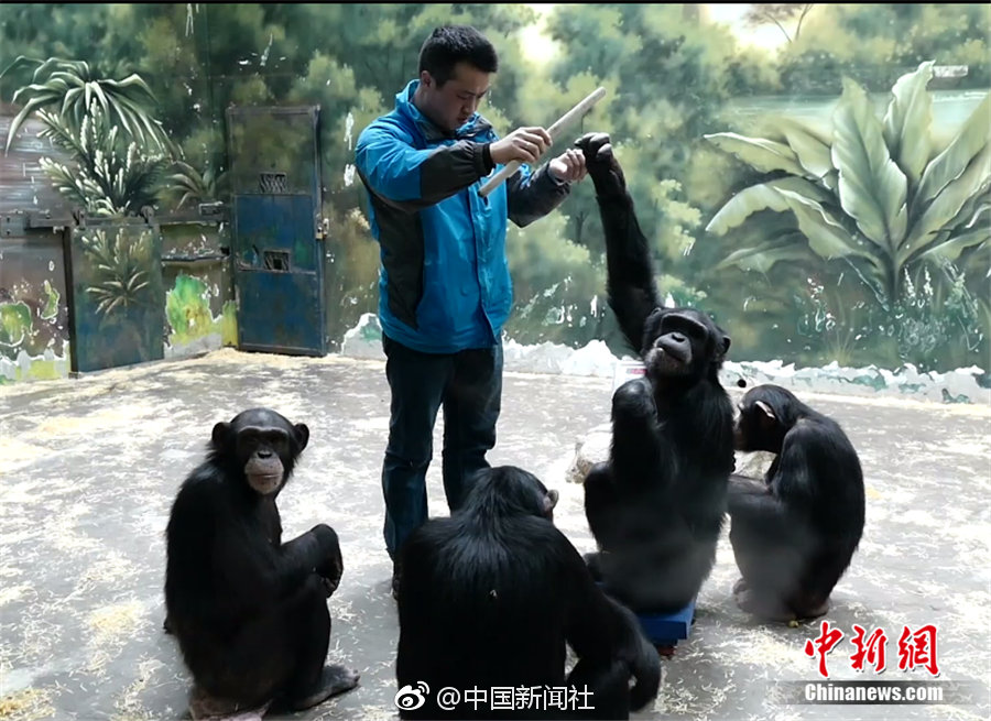 A new zoo exhibit featuring endangered species opened today