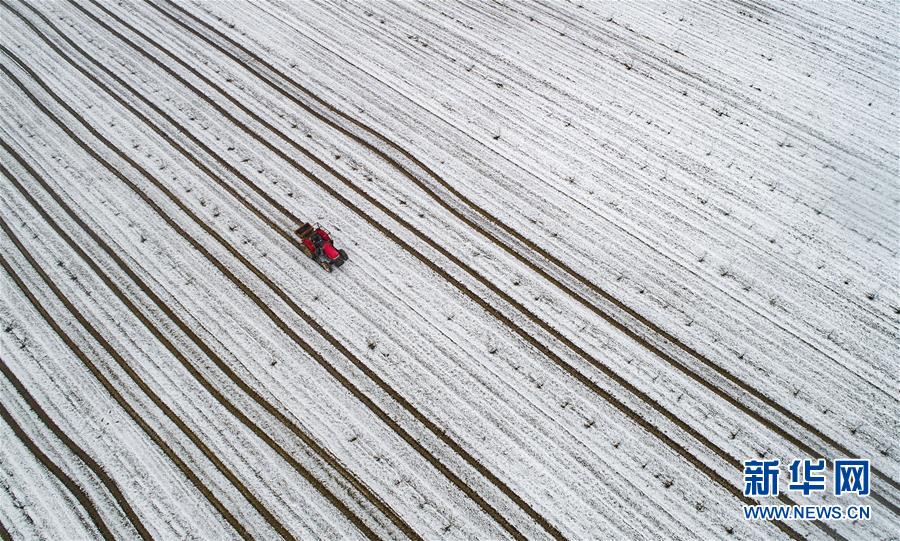 A study found that socializing with friends at least once a week can improve mental well-being in older adults.