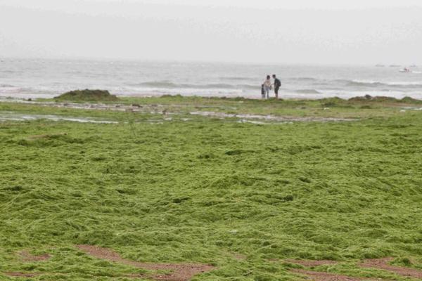 The national parliament passed a new law to protect consumers from false advertising, imposing heavy fines on violators.