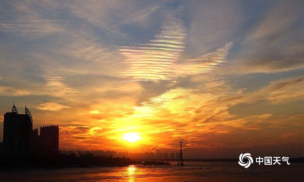 A severe thunderstorm with hail damaged hundreds of cars and rooftops in a suburban area