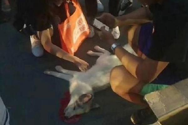 Study shows that audiobooks help people with reading difficulties