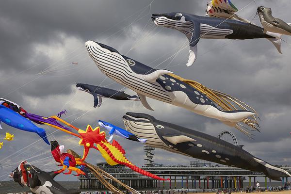 A tech startup raised $20 million to develop renewable energy tech