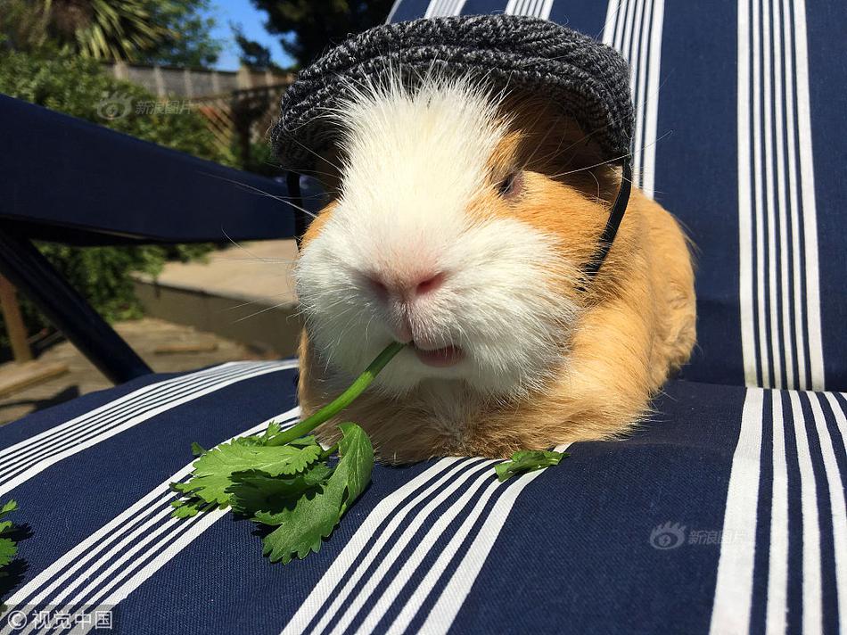 The city introduced a new parking app that lets users reserve spots in advance